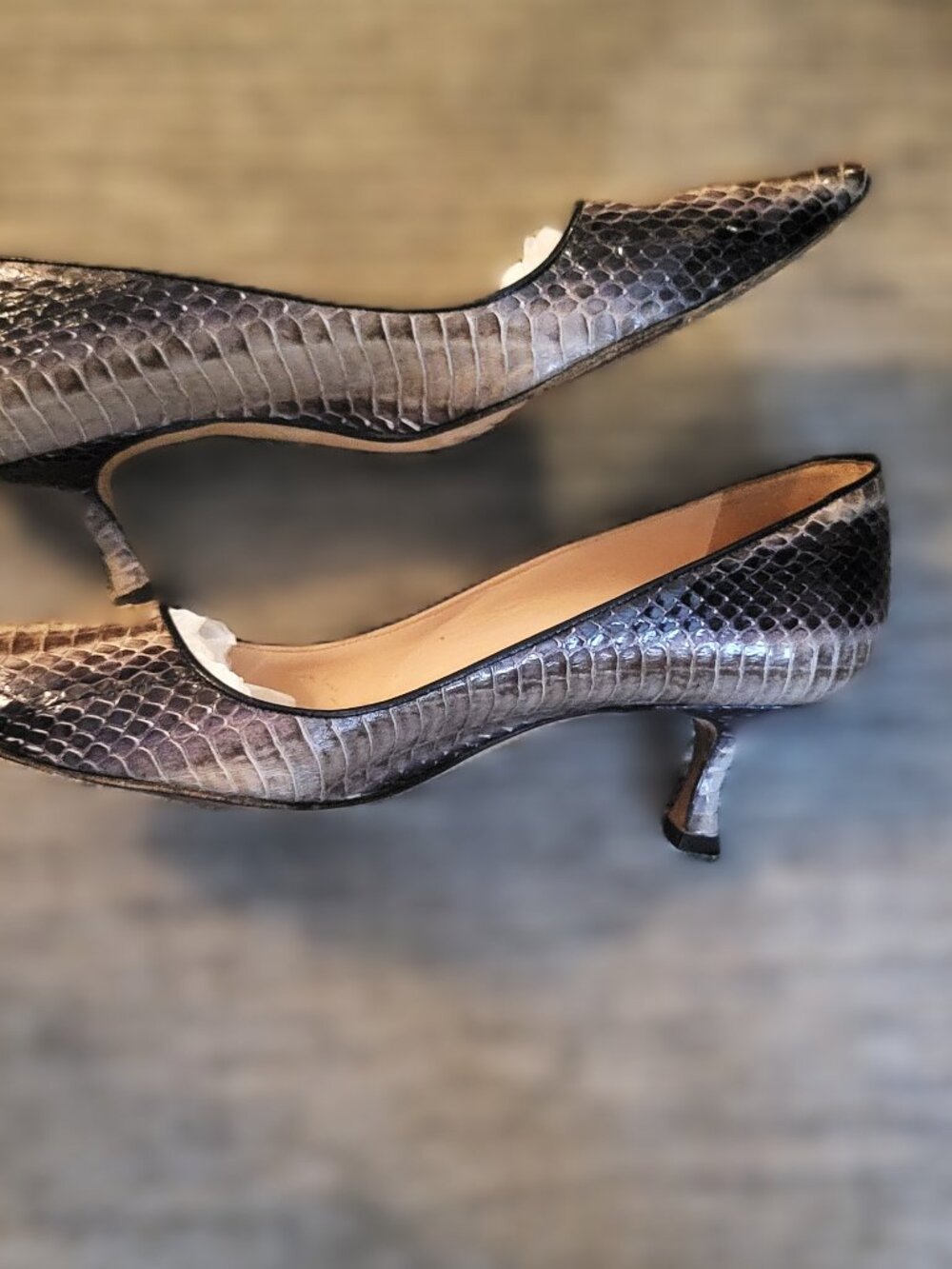 Manolo Gray/Black Snake Skin Kitten Heel - 36